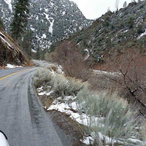 Meet your Posher, Marti - Picture 1 of 1